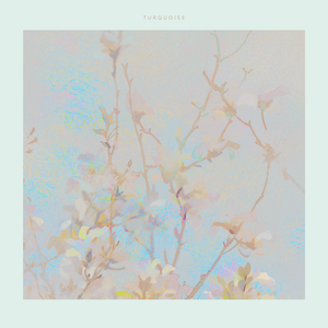 雪花顽石（斯内普同人）