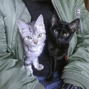 找他（Prod.by Xiangyue)