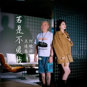 若是不爱我（对唱版）