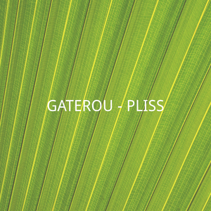 Pliss (Original Mix)