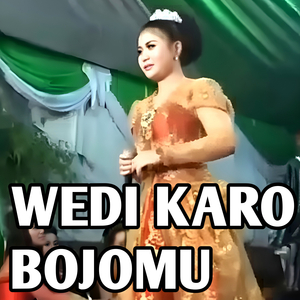 WEDI KARO BOJOMU