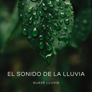 Delicias Instantáneas