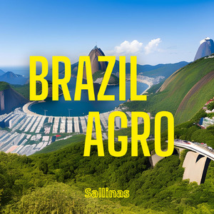 A Flor e o Beija Flor