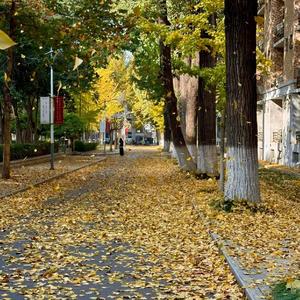 夏日律动之海滨欢歌