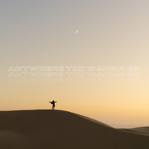 Anywhere You Wanna Go