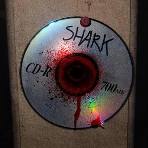 dumbass (feat. wwpp)