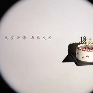 安检机里的再见 (live)