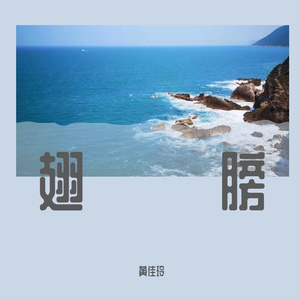 翅膀