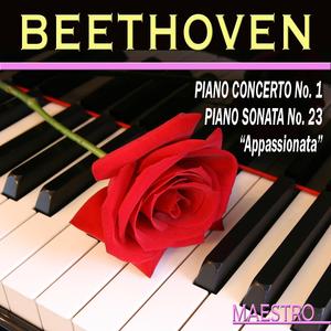 Concerto in D Major for Violin and Orchestra, Op 61: II. Larghetto