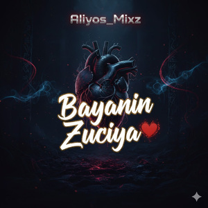 Bayanin Zuciya