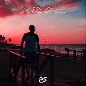 No Puedo Olvidarme