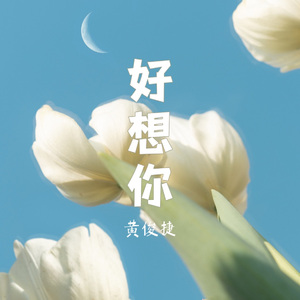 好想你