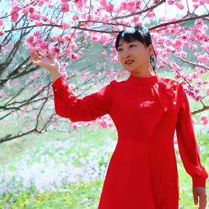 想我你就到大连来