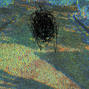 カノンと一輪の花