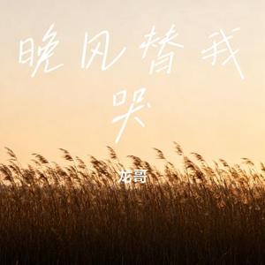 晚风替我哭