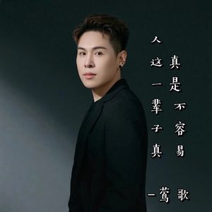 人这一辈子真是不容易-DJ