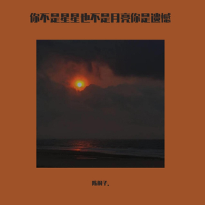 你不是星星也不是月亮你是遗憾