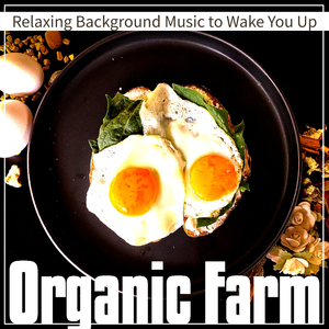 As the Morning Looms