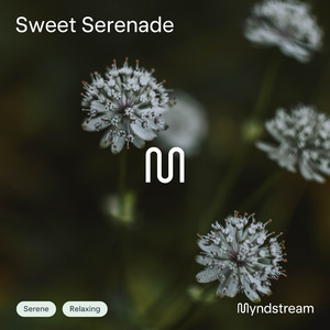 Sweet Serenade