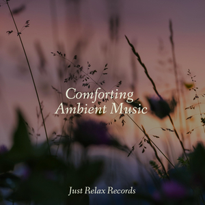 Echoes of the Infinite Sea