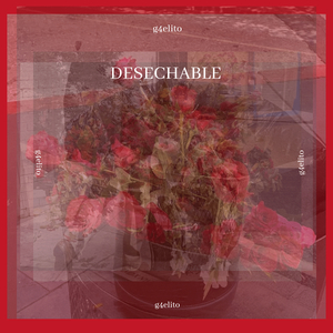 Desechable