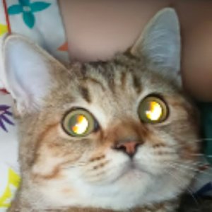 你爱的第一个人是你灵魂缺失的拼图