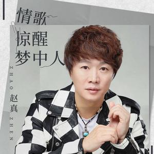 情歌惊醒梦中人 (DJ沈念版伴奏)