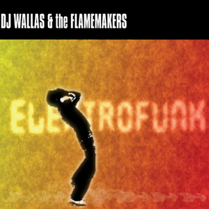 Electrofunk (The Flamemakers Remake)