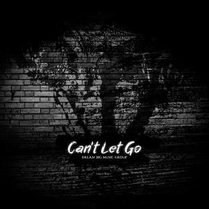 Can't Let Go (feat. BT4L, Ricky Phillips & Mz. Scorpio)