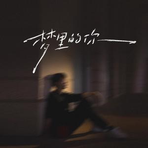 梦里的你（梦里的梦梦里的你）