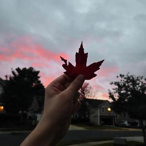 Welcome to the pit (Alternate Version) [The Resilience Leaf]