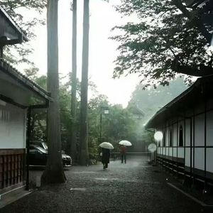 他的名字叫陈寅恪 伴奏