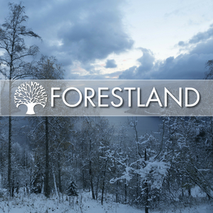 Sheltered From The Storm