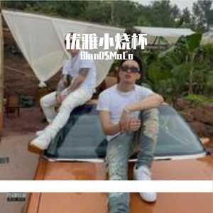 “优雅小烧杯”NBAYOUNGBOY X 巴吞鲁日Type Beat