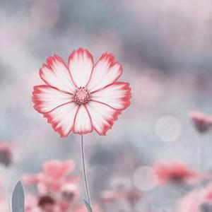 悦神（翻自 KBShinya）