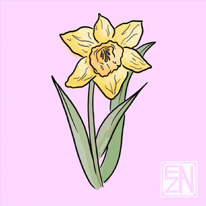 Daffodil