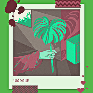 Shadows