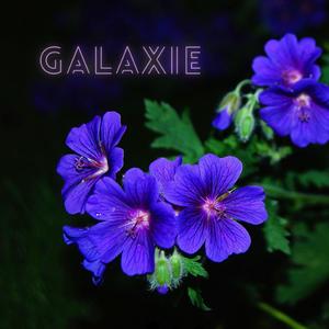 Galaxie