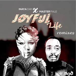 Joyful Life (David Harness Remix)