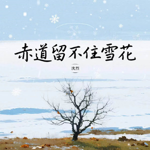 赤道留不住雪花