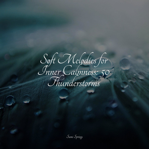 Ocean, Waves, Splashing