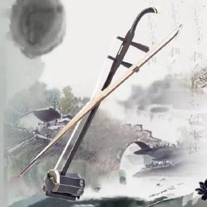枉凝眉 二胡