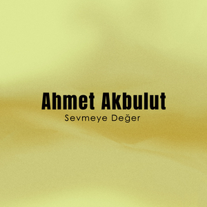 Yalnızlığın Acısını
