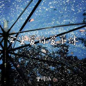 今生爱你爱不休