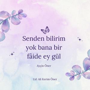 Senden bilirim (feat. Ali Kerim Öner)