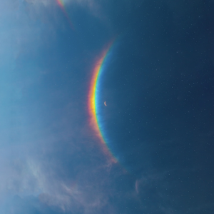 我好喜欢你（翻唱）