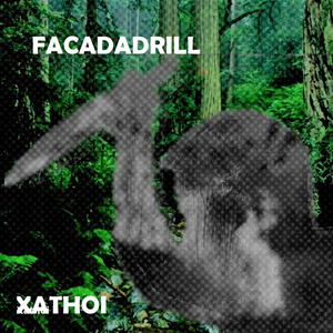 Facadadrill