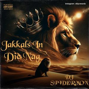 Jakkals In Die Nag