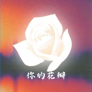 你的花瓣