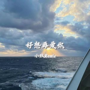 好想再爱你（小玖Remix）